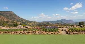 Sustainable Landscaping in Texas: The Benefits of Artificial Turf