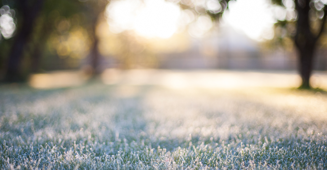 Artificial grass in frosty cold climate