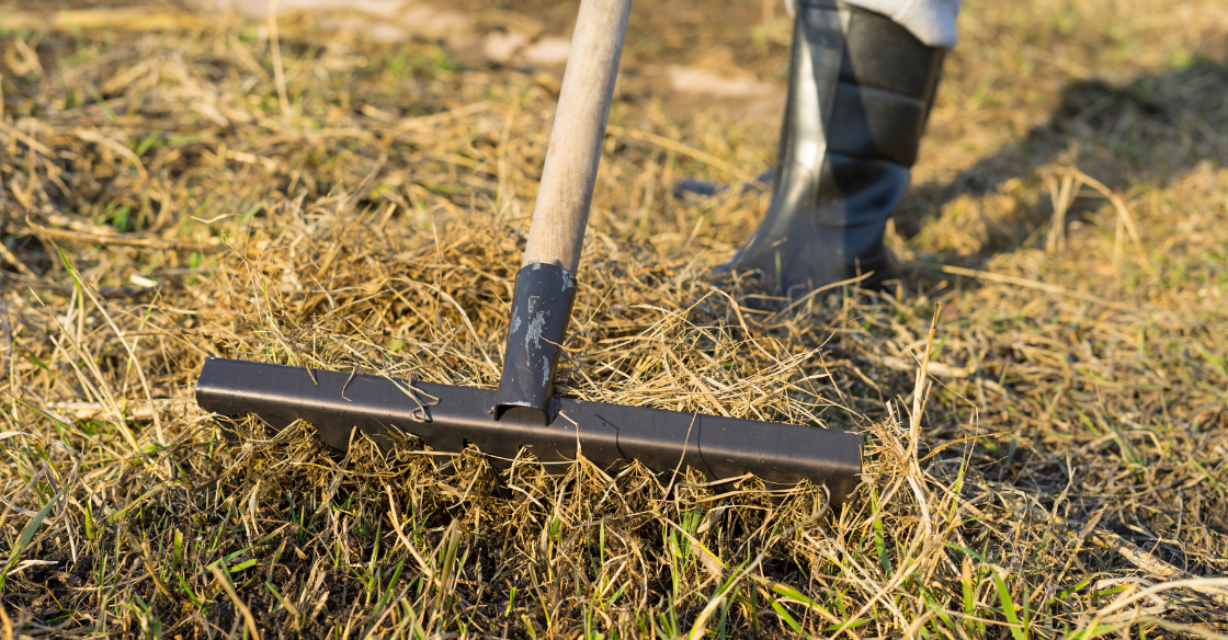 Natural vs. Artificial Grass: Which is Better for Cold Climates?