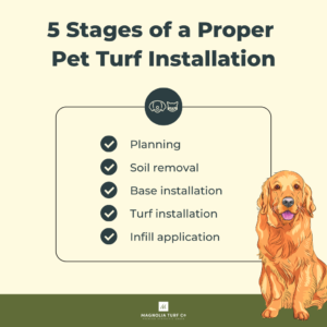 Infographic: Installing Pet Turf: What Texas and Florida Dog Owners Need to Know