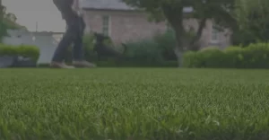 6 Life-Changing Tips for Maintaining Artificial Turf