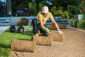 Turf vs. Grass: Complete Comparison for Texas and Florida Homeowners