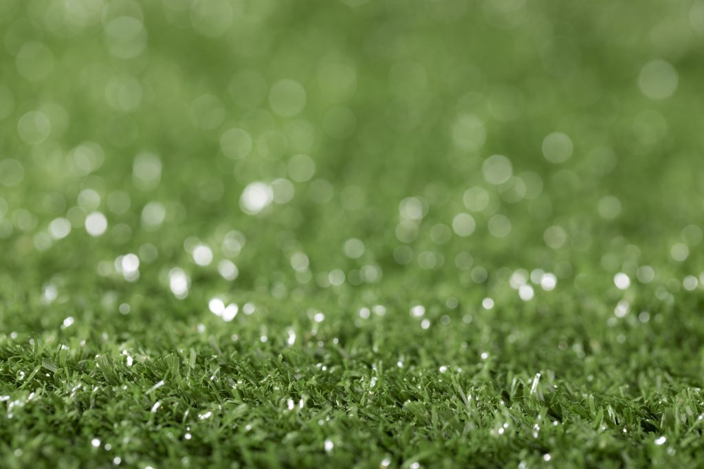 Artificial Grass in rain