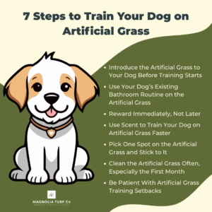 Infographic: How to Train a Dog to Use Artificial Grass (Step-by-Step Guide for Texas and Florida)