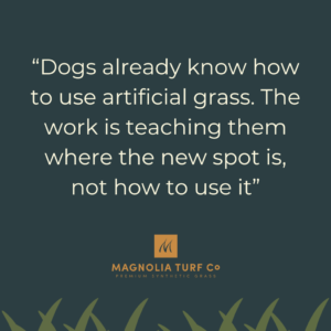 Quote: How to Train a Dog to Use Artificial Grass (Step-by-Step Guide for Texas and Florida)