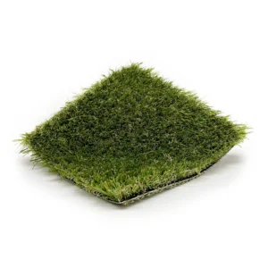 Olive 50