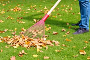 8 Residential Turf Maintenance Tips To Try