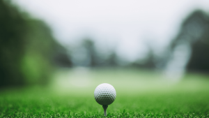 Golf & Sports Turf Equipment: Maintenance for Natural & Synthetic Turf