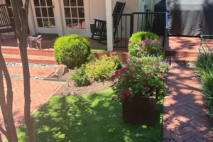How to Clean Turf for Pets: Complete Guide