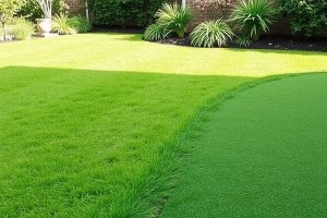 Artificial Grass vs Artificial Turf: Turf and Synthetic Options