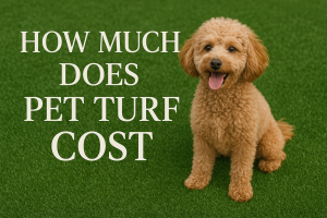How Much Does Pet Turf Cost?
