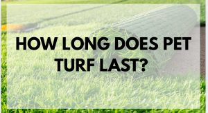 How Long Does a Pet Turf Last? A Complete Guide for Pet Owners