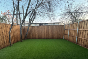 Is Turf Good for Dogs? What Texas and Florida Pet Owners Need to Know