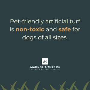 Quote: Is Turf Good for Dogs? What Texas and Florida Pet Owners Need to Know