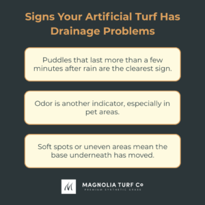 Infographic: Artificial Turf Drainage: What Actually Works in Texas and Florida