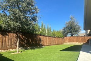 Grass Alternatives for Texas and Florida Yards: Full Comparison (2026)