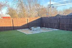 Best Grass for Shade in Texas: What 10 Years in Business Taught Us