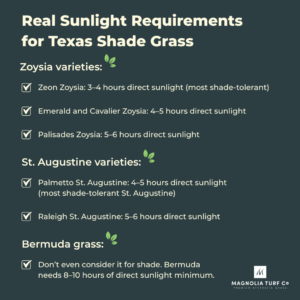 Infographic: Best Grass for Shade in Texas: What 10 Years in Business Taught Us
