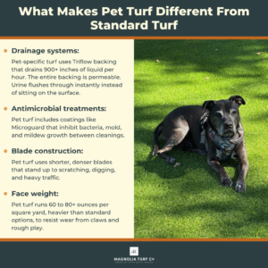 Infographic: Complete Guide to Dog Turf: What Texas Pet Owners Need to Know (2026)