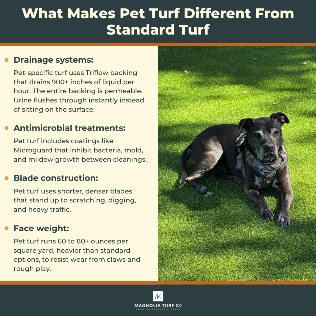 Turf Guide Complete Guide to Dog Turf: What Texas Pet Owners Need to Know (2026)