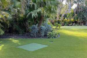 Artificial Grass Drainage: A Texas and Florida Buyer’s Guide