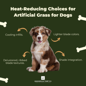 Infographic: Artificial Grass for Dogs: What Every Pet Owner Needs to Know (Complete Guide)