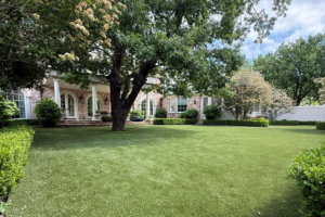 How to Choose an Artificial Grass Installer in Texas and Florida (Buyer’s Guide)
